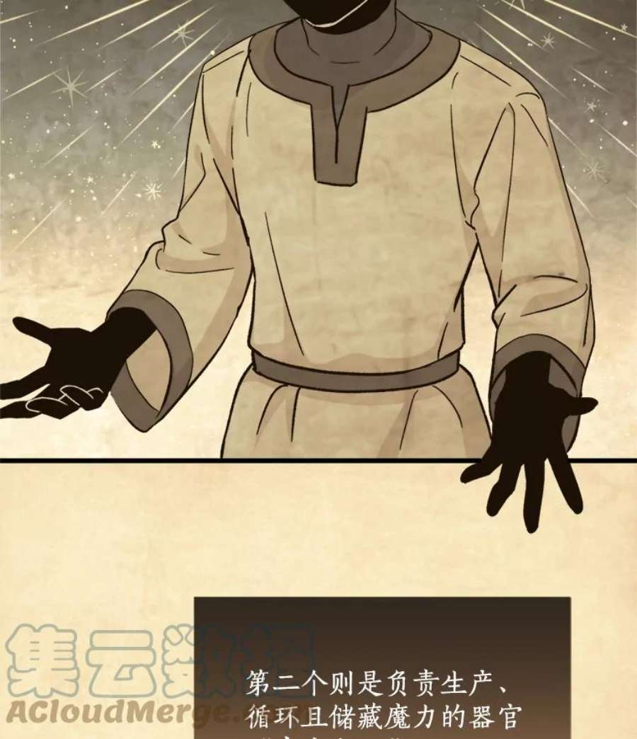 回归的8阶魔法师2.魔力反应检查