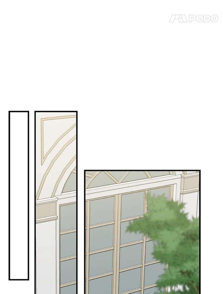 回归的8阶魔法师4.领主失踪