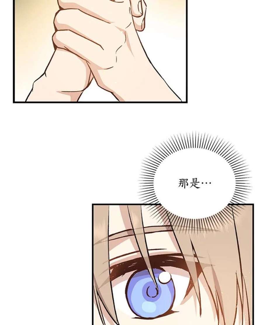 回归的8阶魔法师5.搜救领主