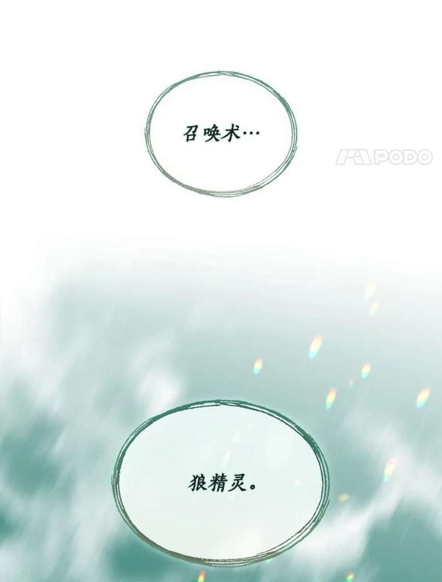 回归的8阶魔法师5.搜救领主