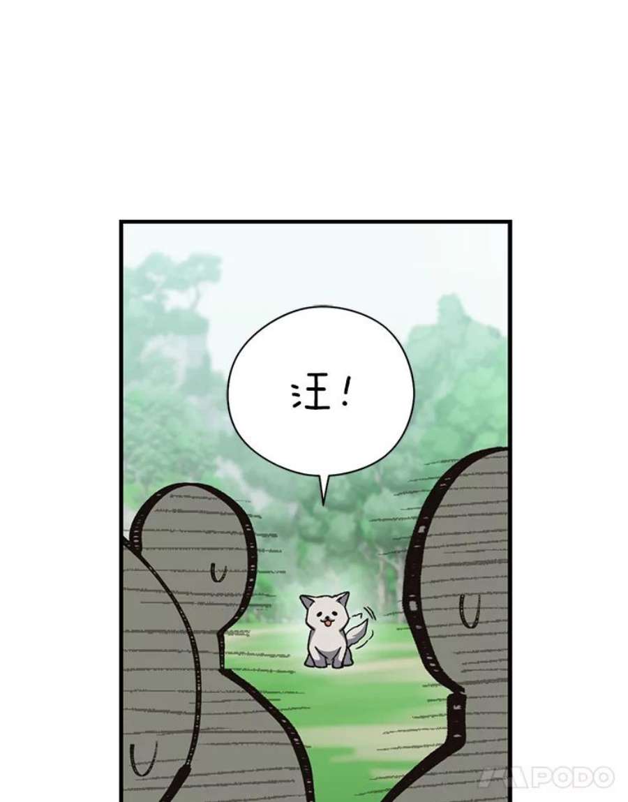 回归的8阶魔法师5.搜救领主