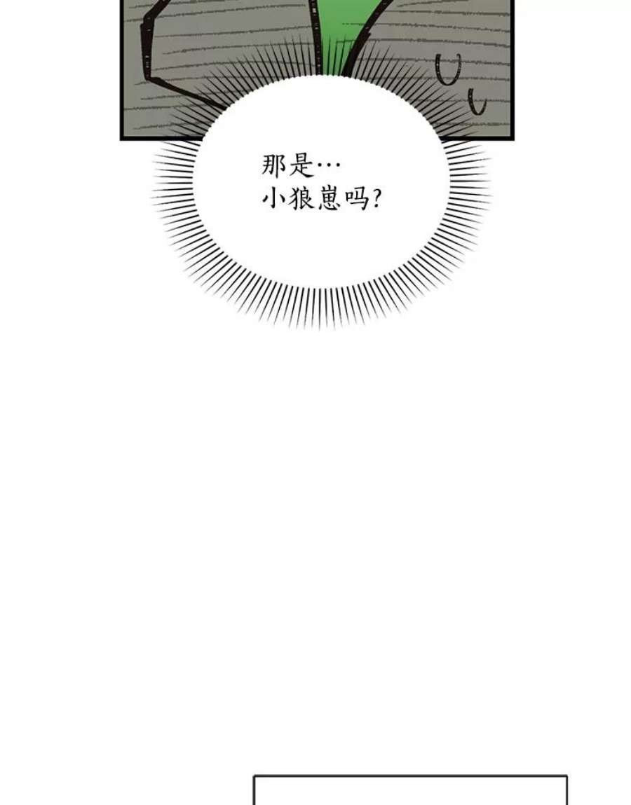 回归的8阶魔法师5.搜救领主