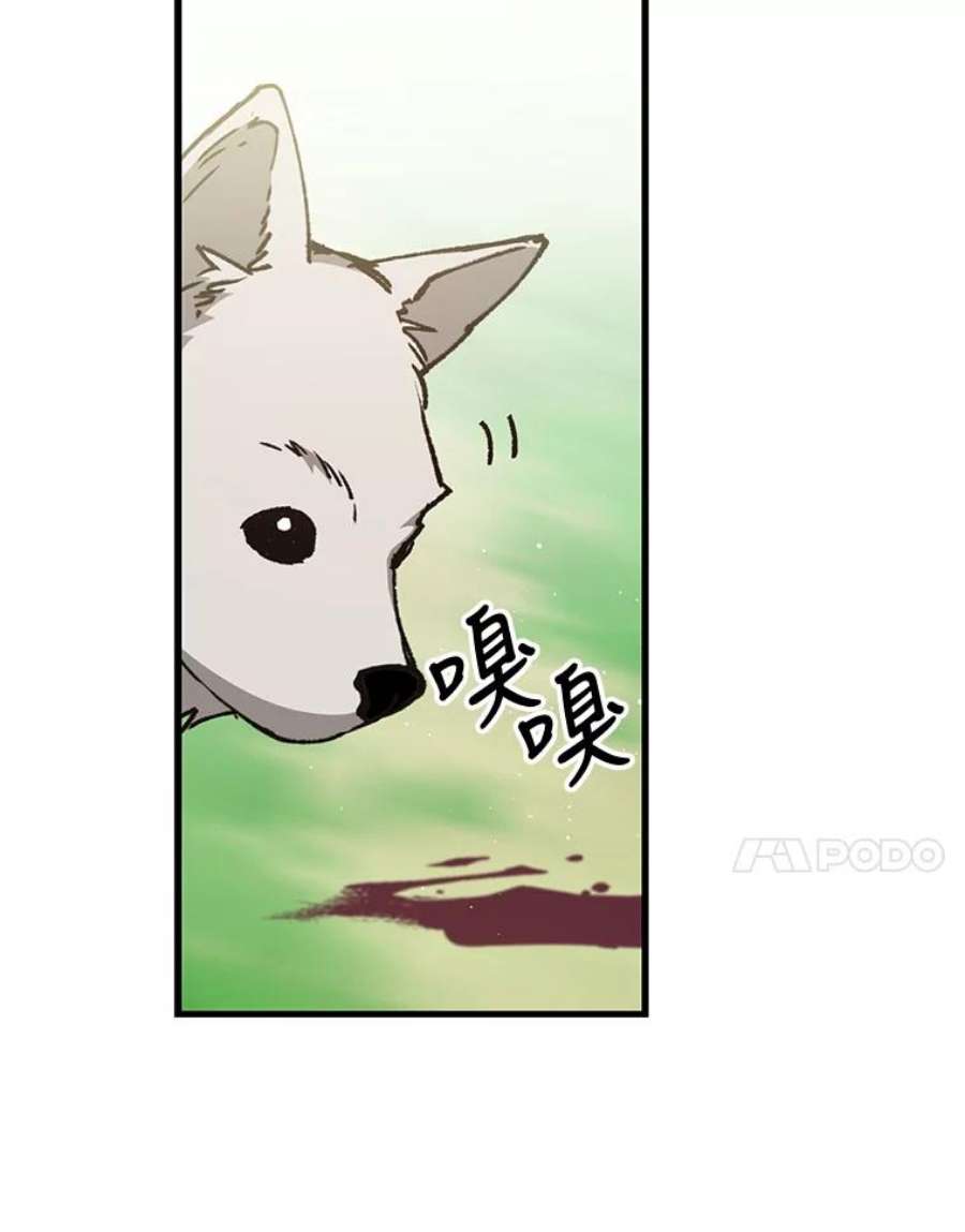 回归的8阶魔法师5.搜救领主