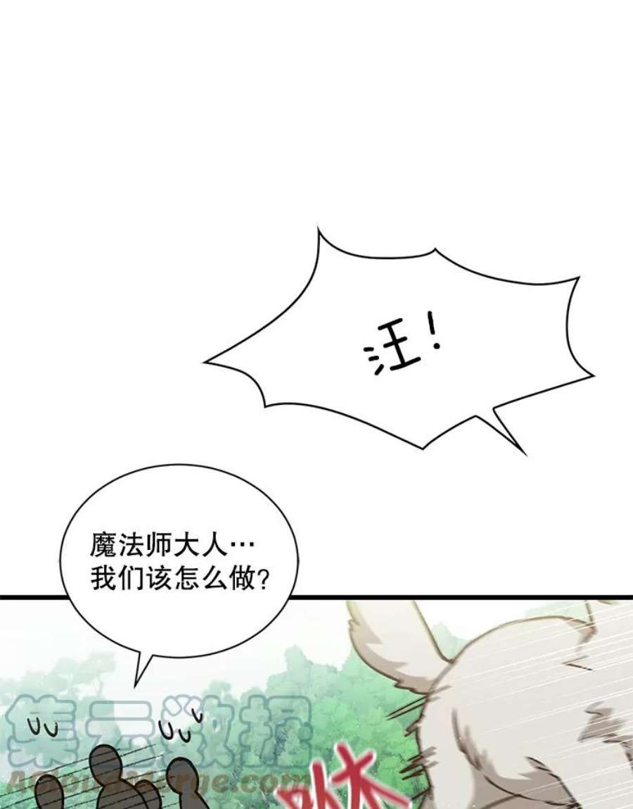 回归的8阶魔法师5.搜救领主