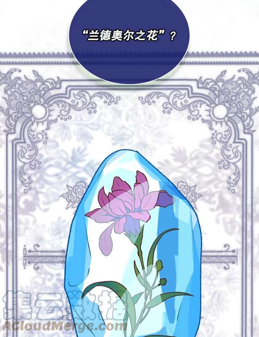 回归的8阶魔法师8.交易