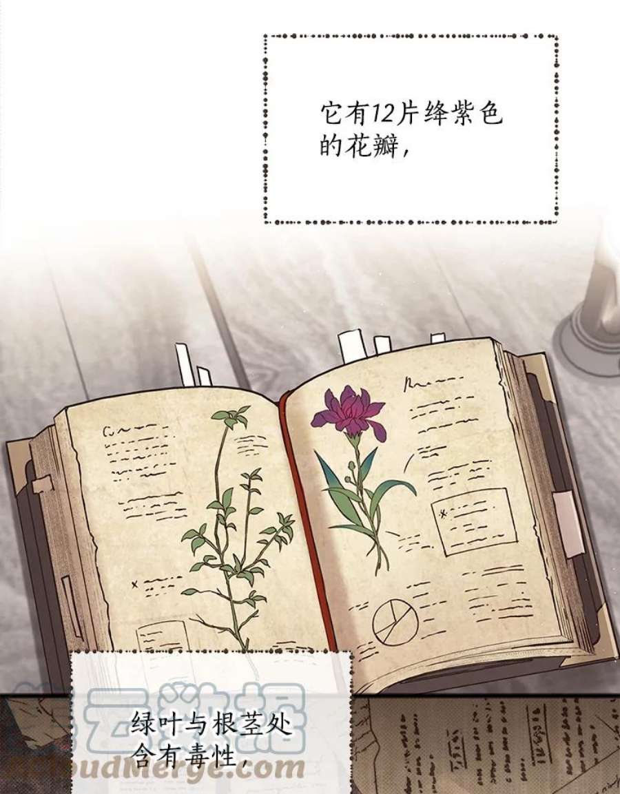 回归的8阶魔法师8.交易