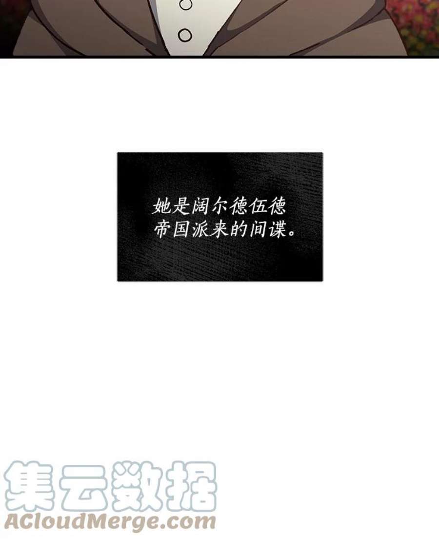 回归的8阶魔法师10.间谍