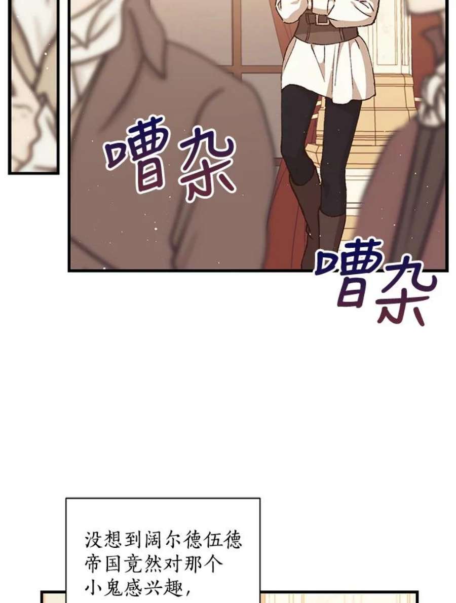 回归的8阶魔法师10.间谍