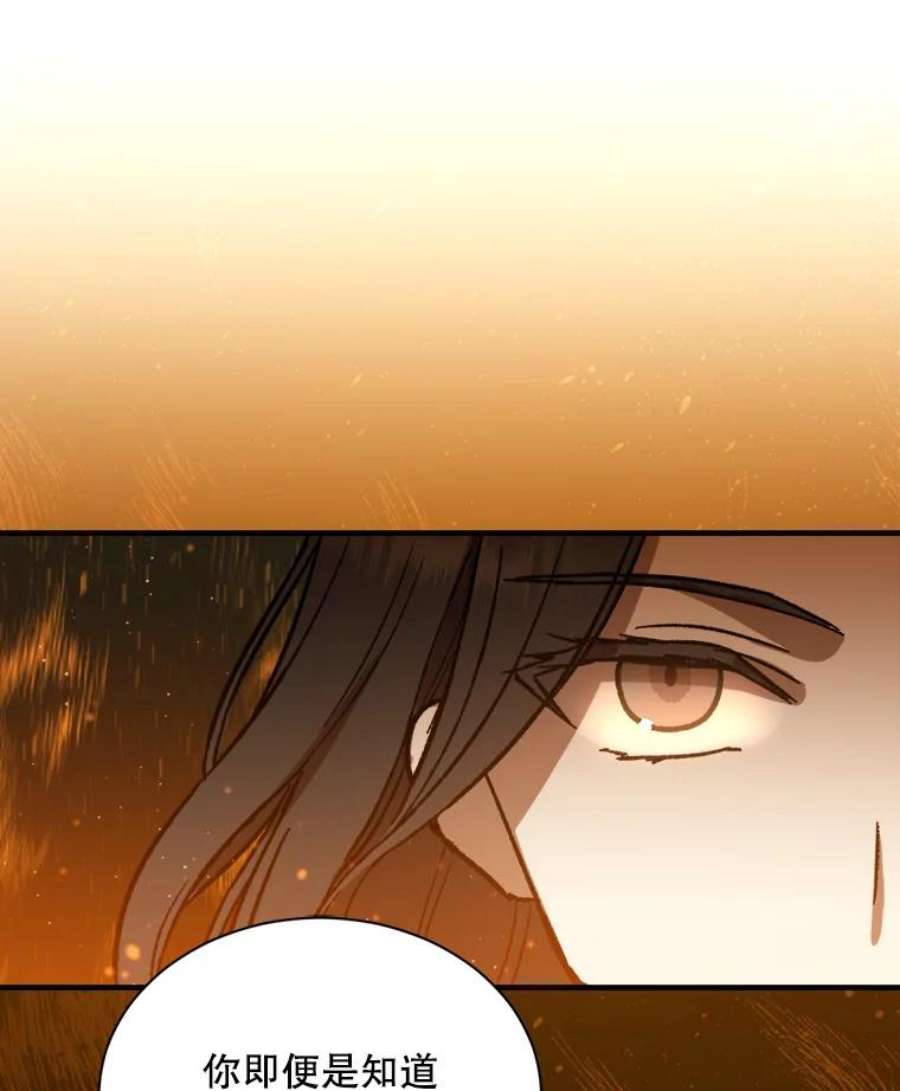 回归的8阶魔法师10.间谍