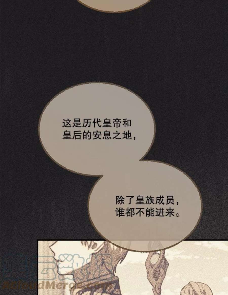 回归的8阶魔法师15.觐见皇帝