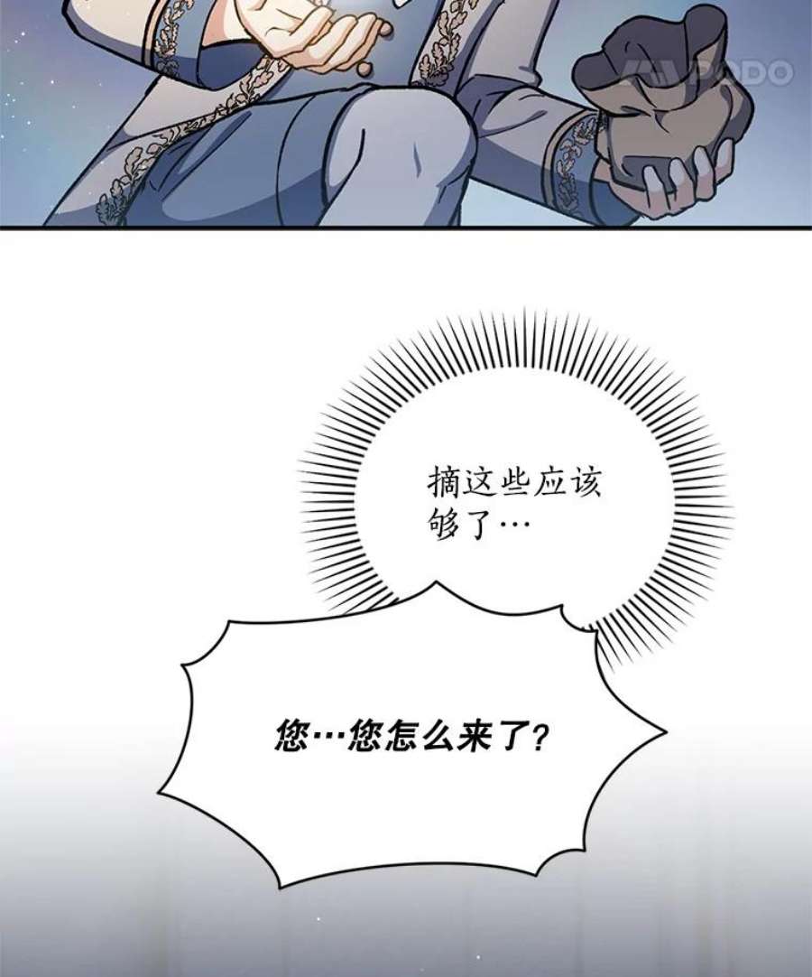 回归的8阶魔法师16.公主的秘密