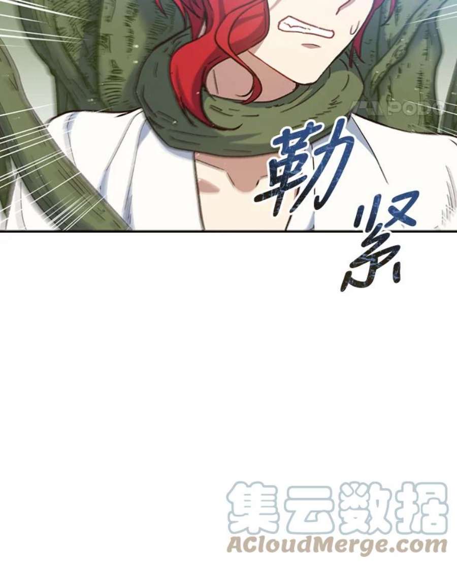 回归的8阶魔法师21.对决2