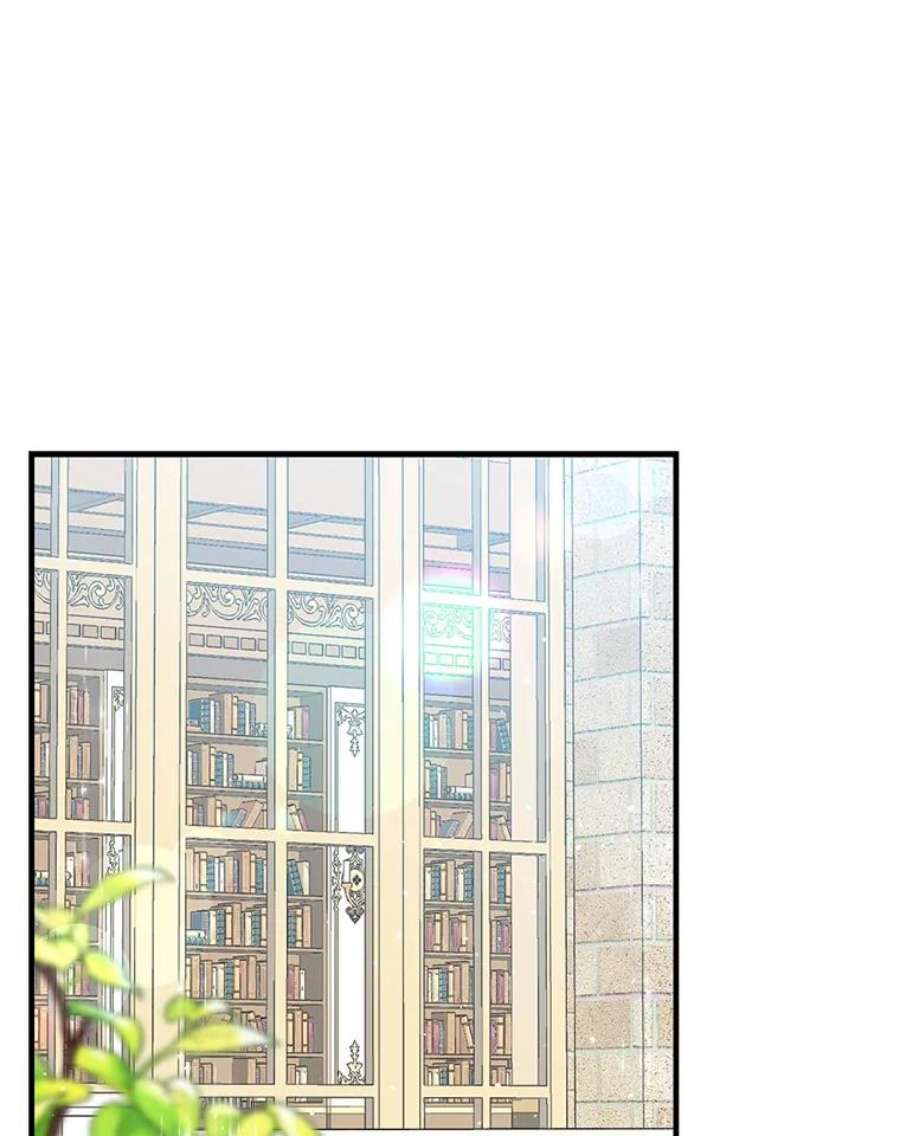 回归的8阶魔法师26.最后的对练