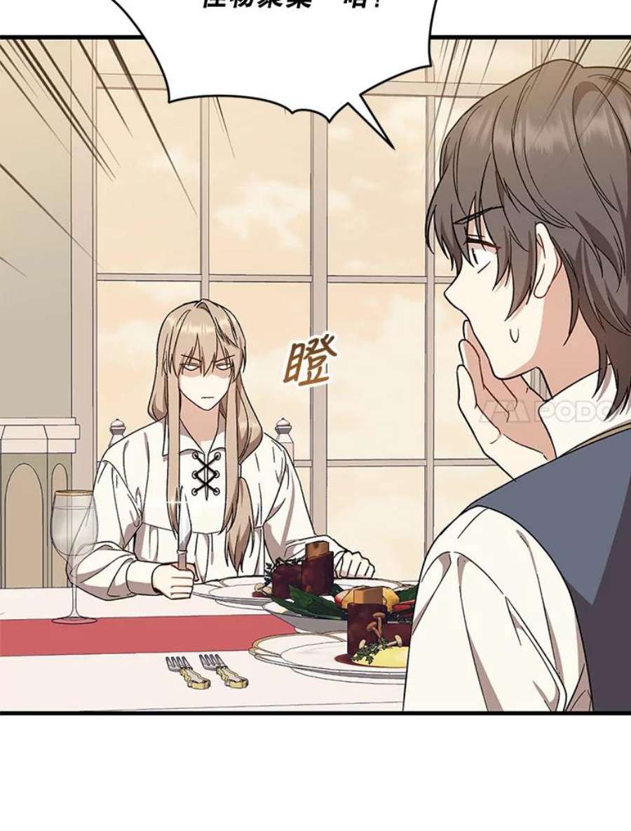 回归的8阶魔法师27.派遣