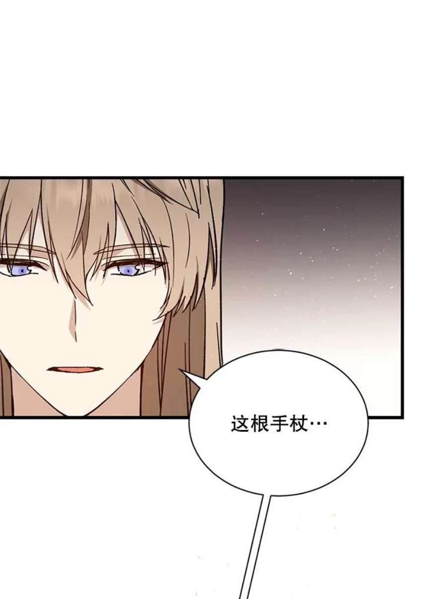 回归的8阶魔法师31.手杖