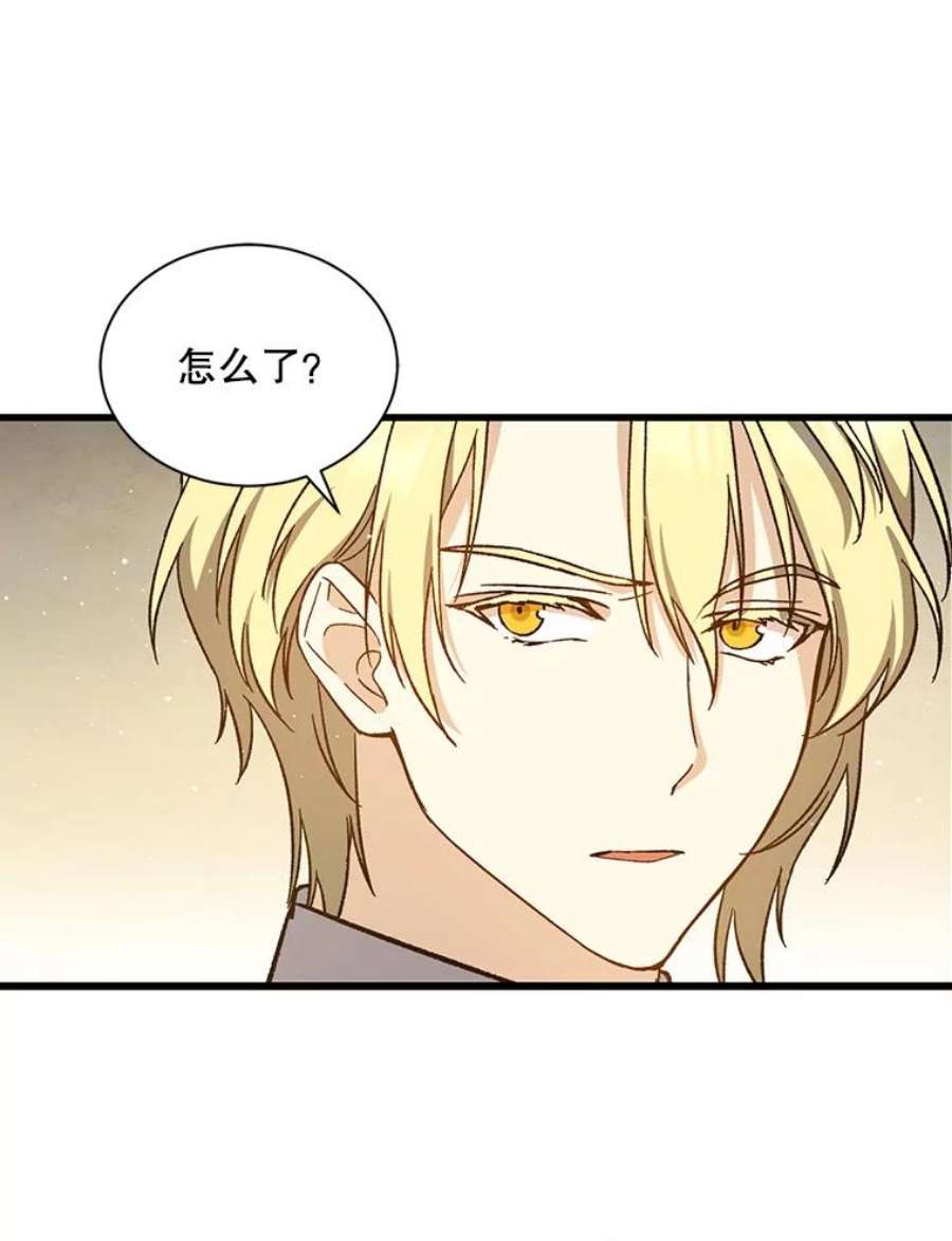 回归的8阶魔法师37.三国协商会议2