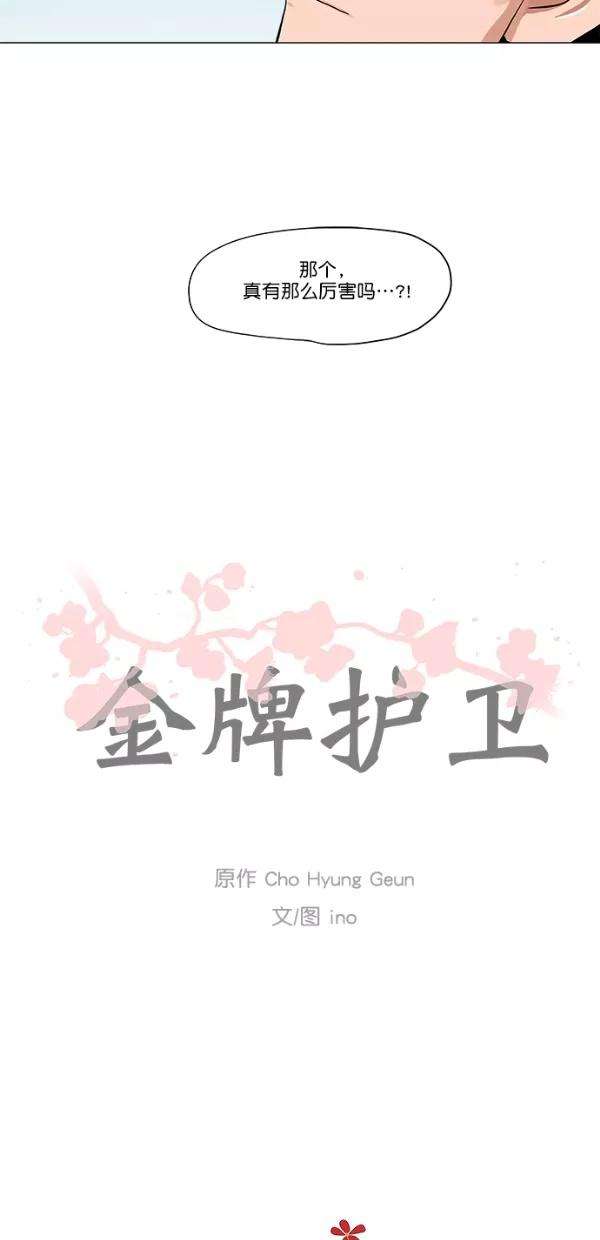 金牌护卫6话