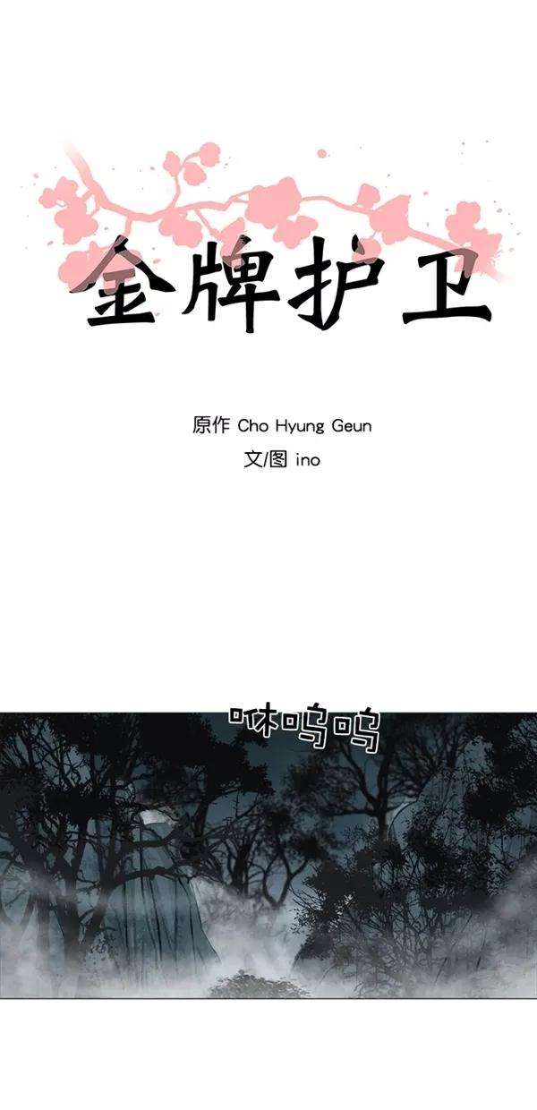 金牌护卫30话