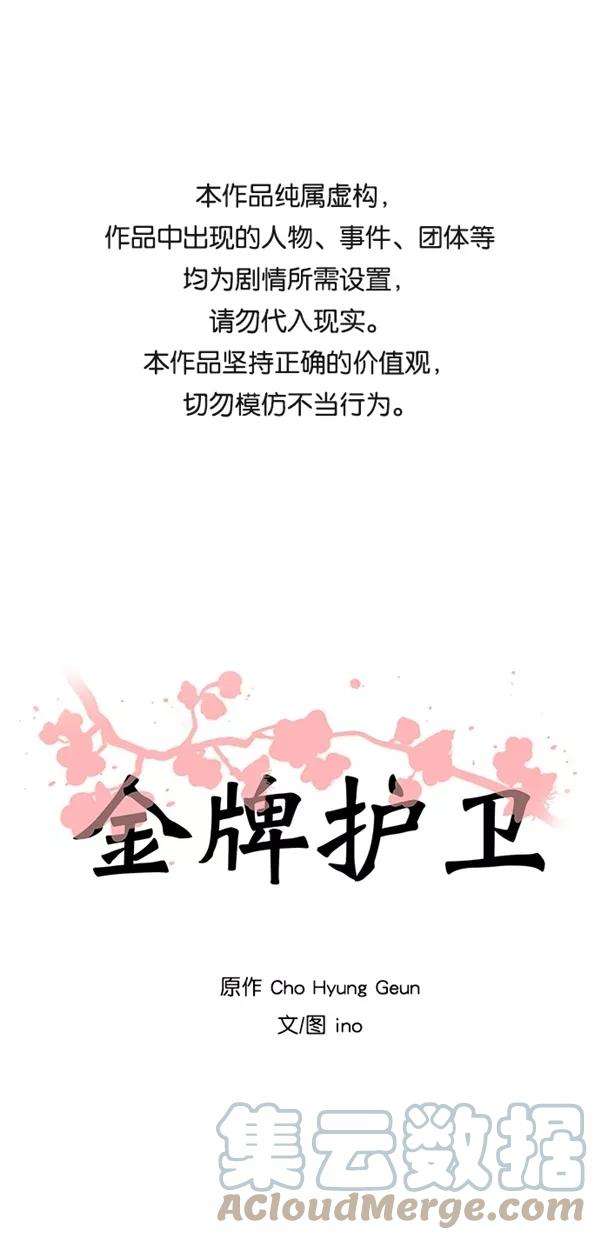 金牌护卫36话