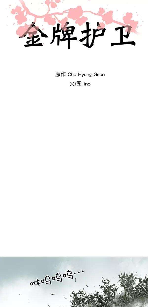 金牌护卫41话
