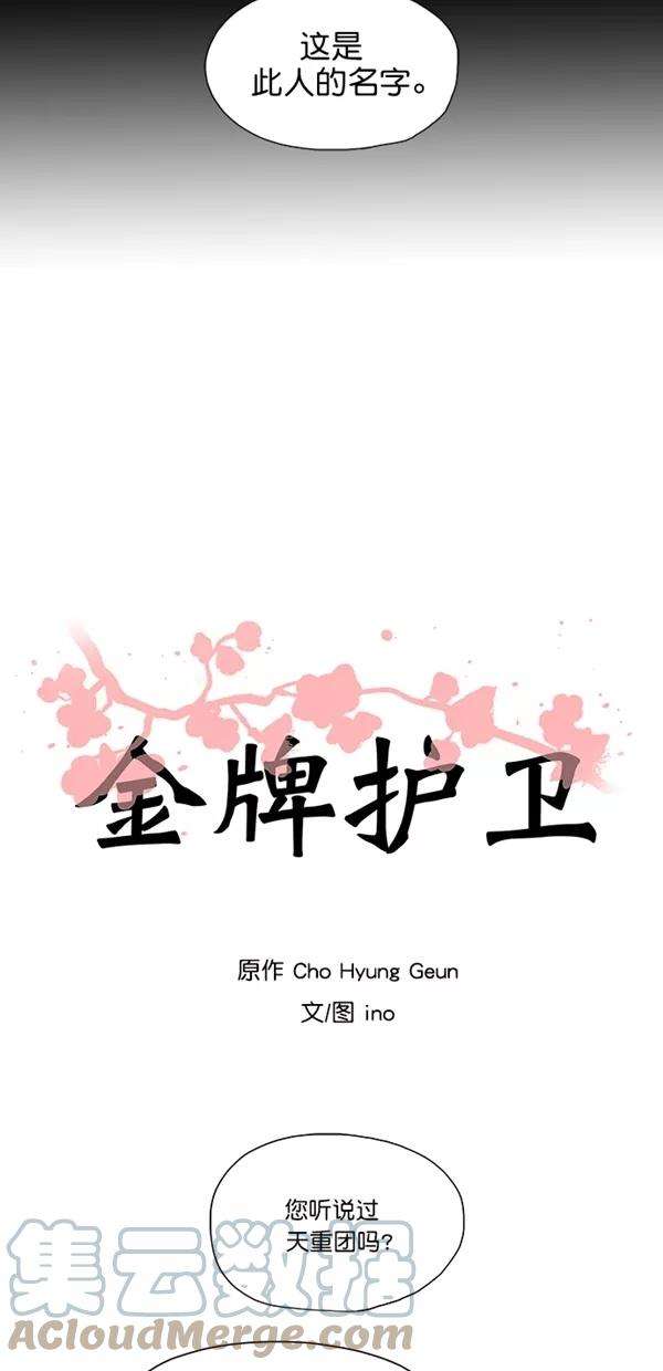 金牌护卫45话