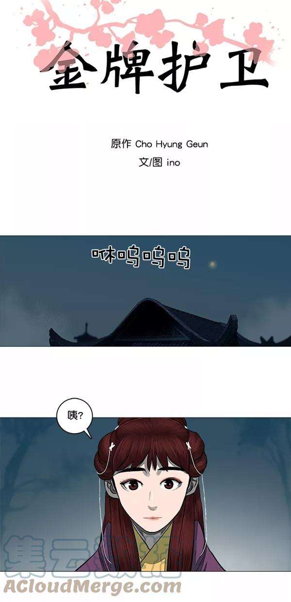 金牌护卫46话