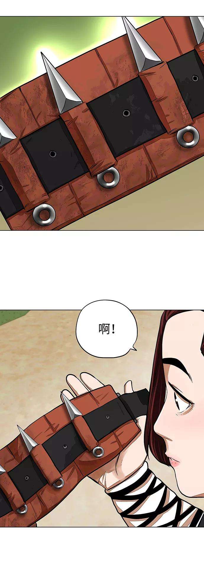 金牌护卫66话