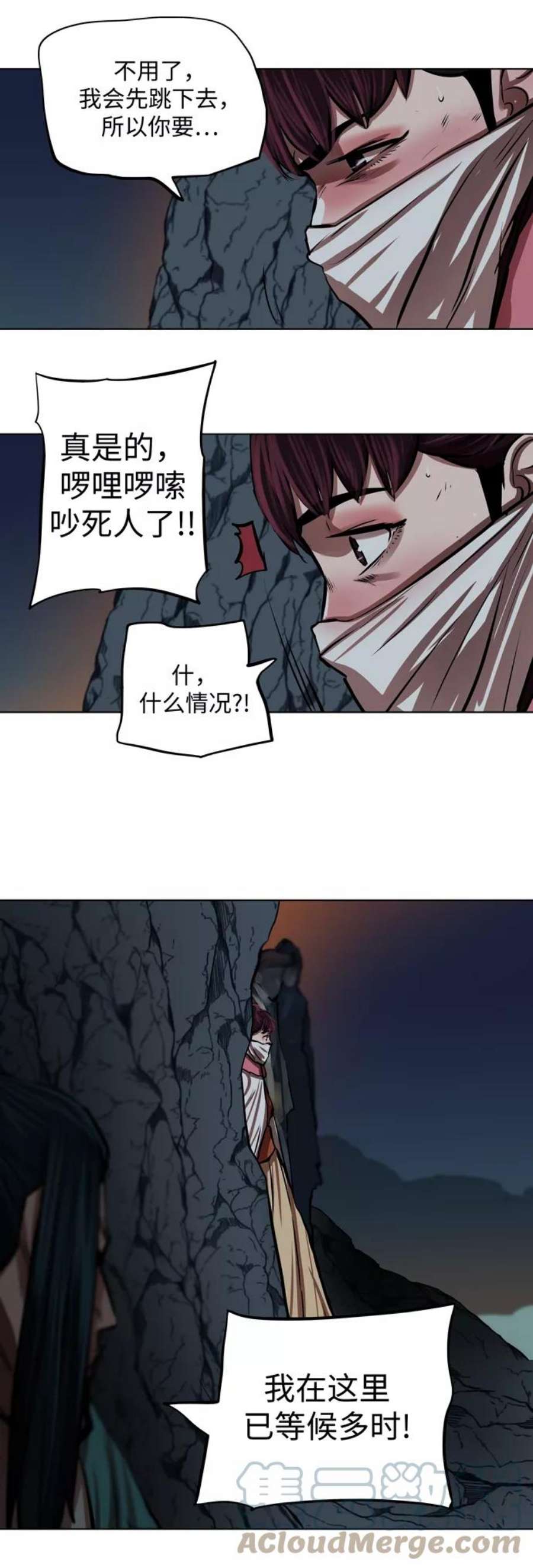 金牌护卫110话