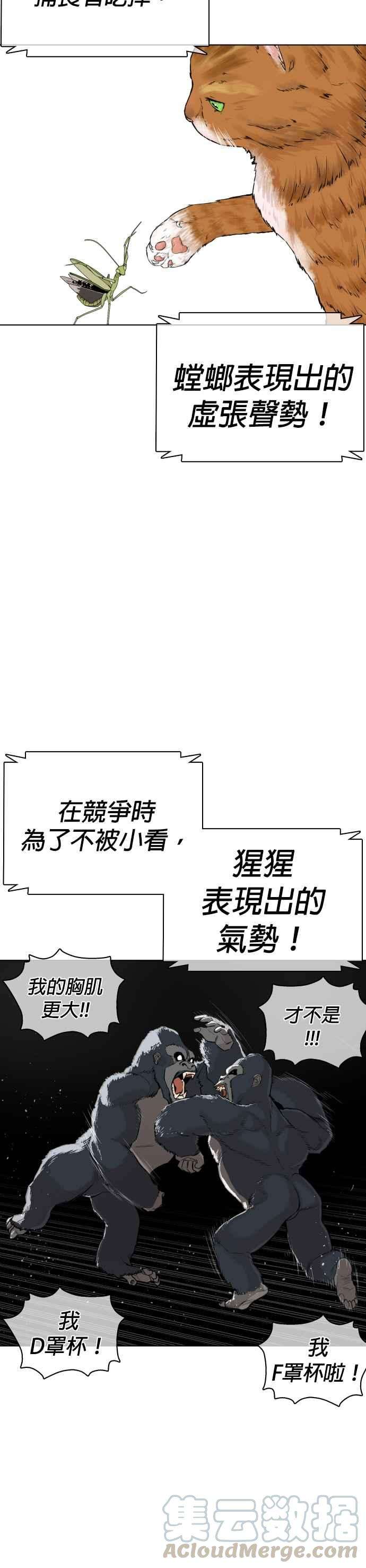 格斗实况23话 恐惧的法则