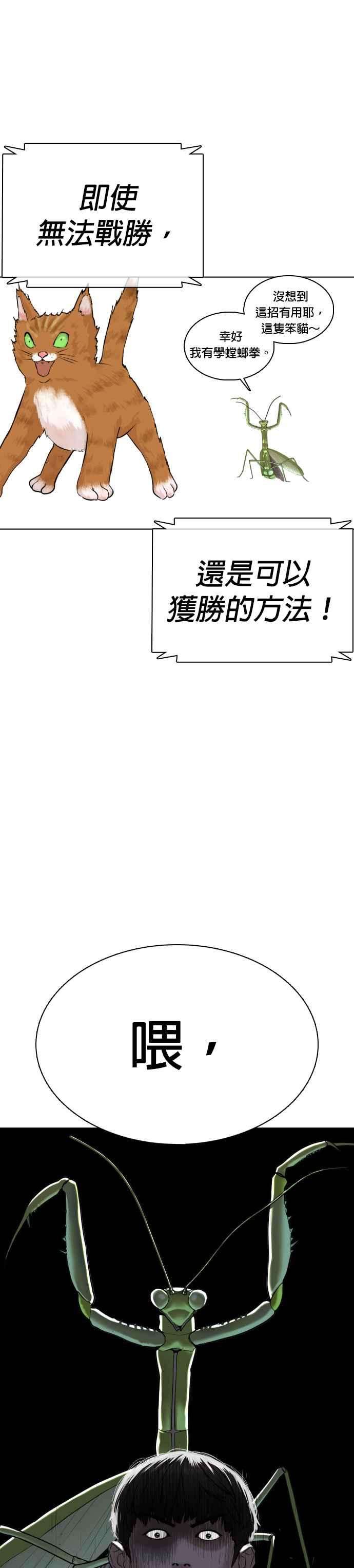 格斗实况23话 恐惧的法则