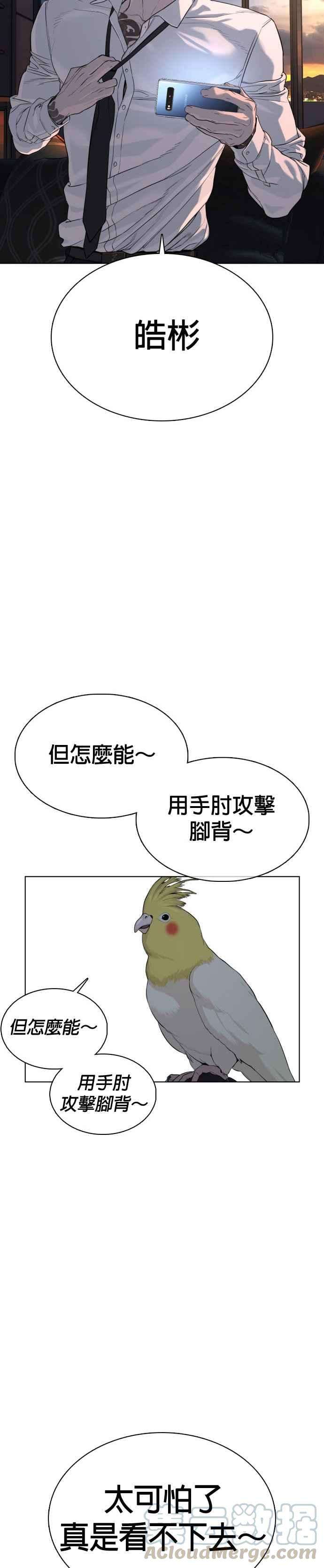 格斗实况44话 …成功了吗？