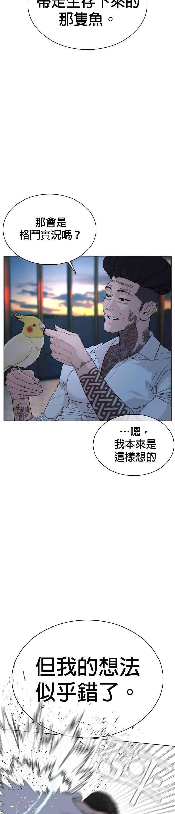 格斗实况44话 …成功了吗？