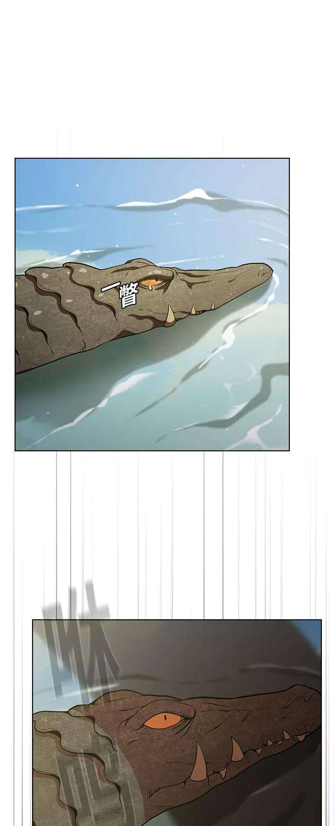 被塔诅咒的猎人16话