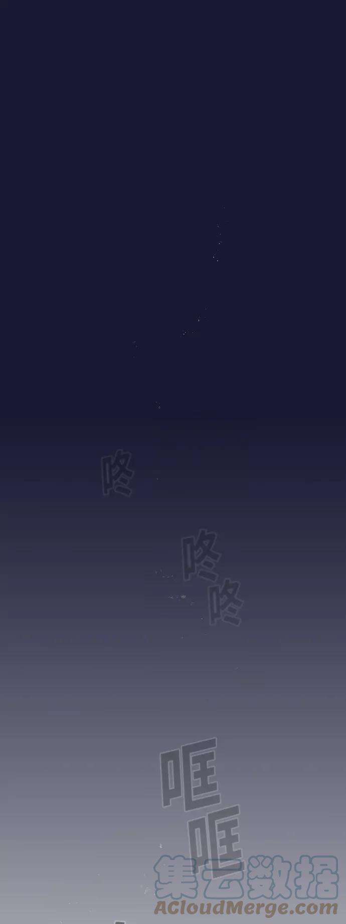 被塔诅咒的猎人29话