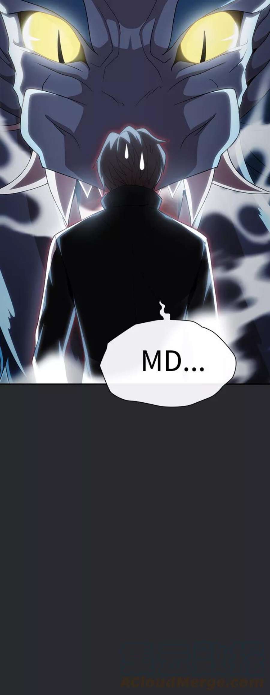 被塔诅咒的猎人105话