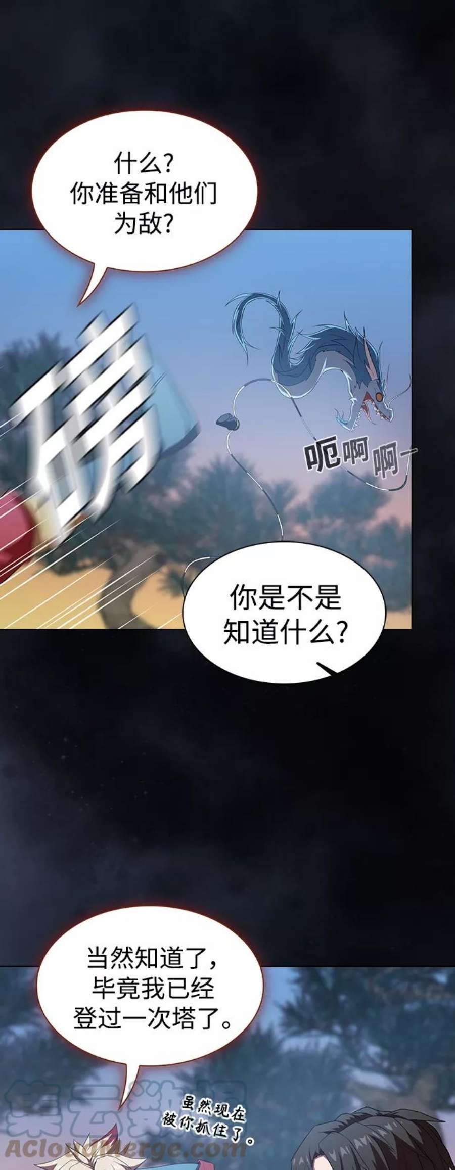 被塔诅咒的猎人108话