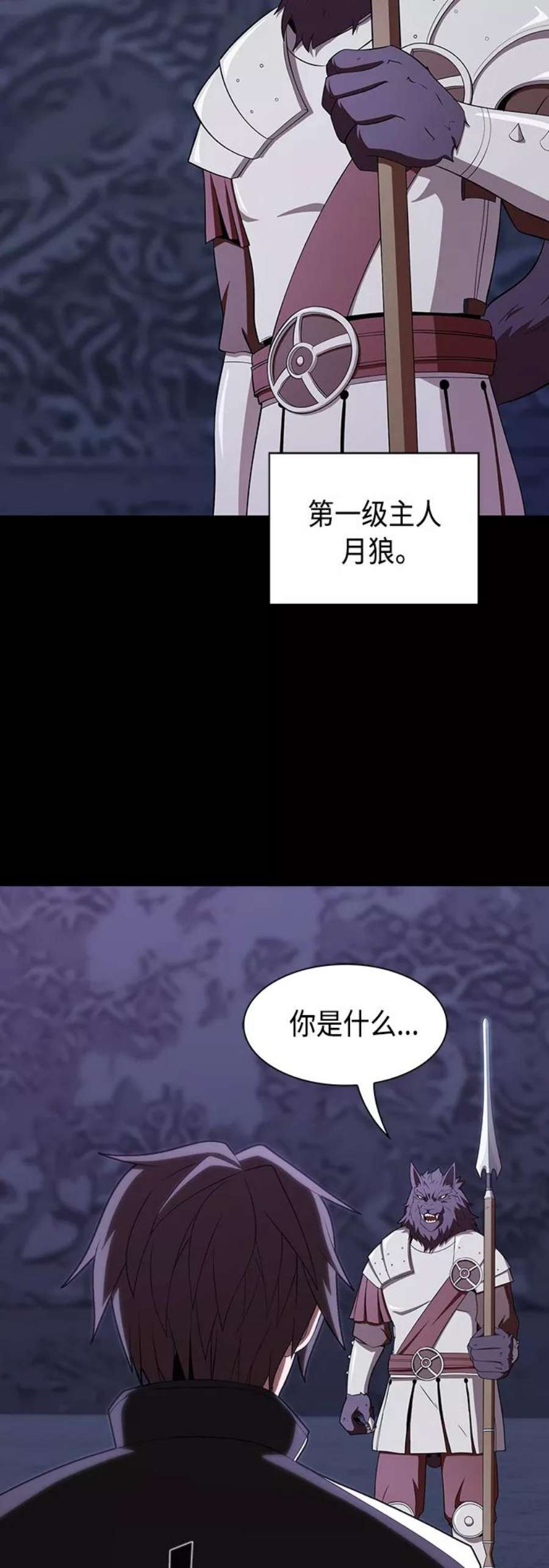 被塔诅咒的猎人110话