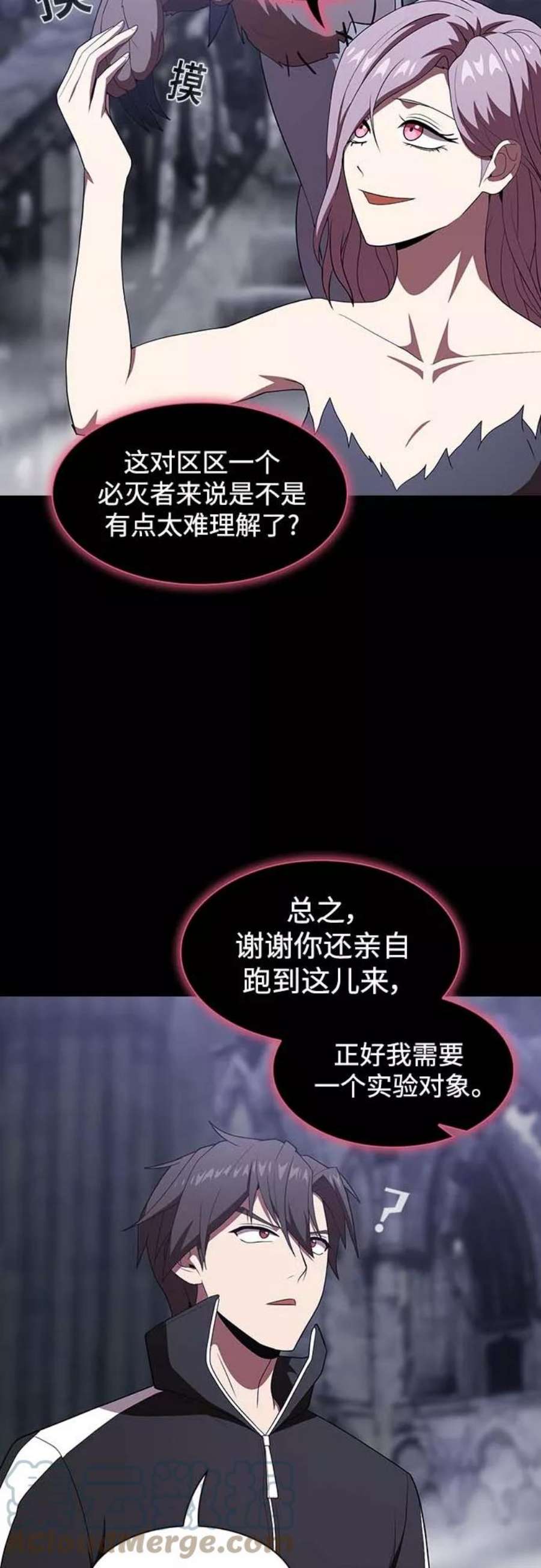 被塔诅咒的猎人111话