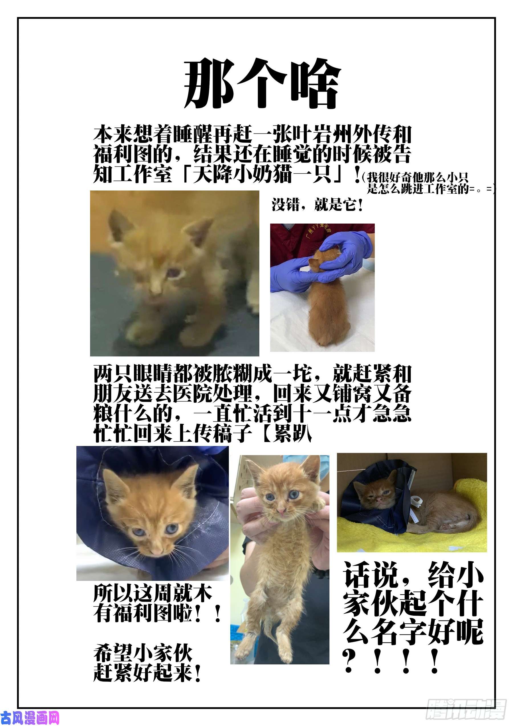 僵湖第三十二话-邪物再临