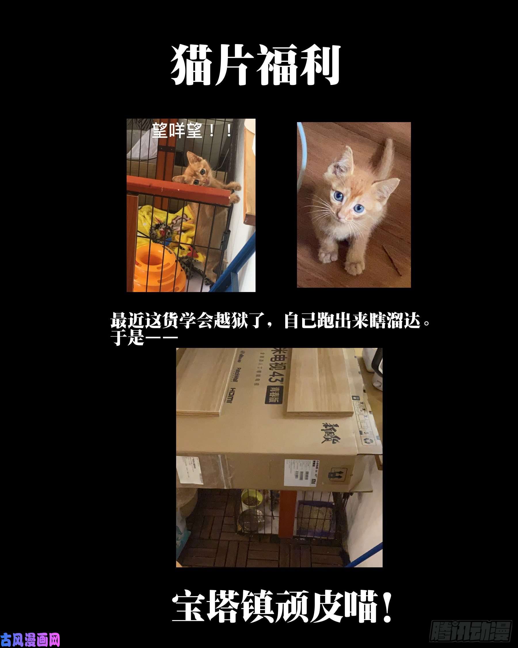 僵湖第三十五话-迫在眉睫