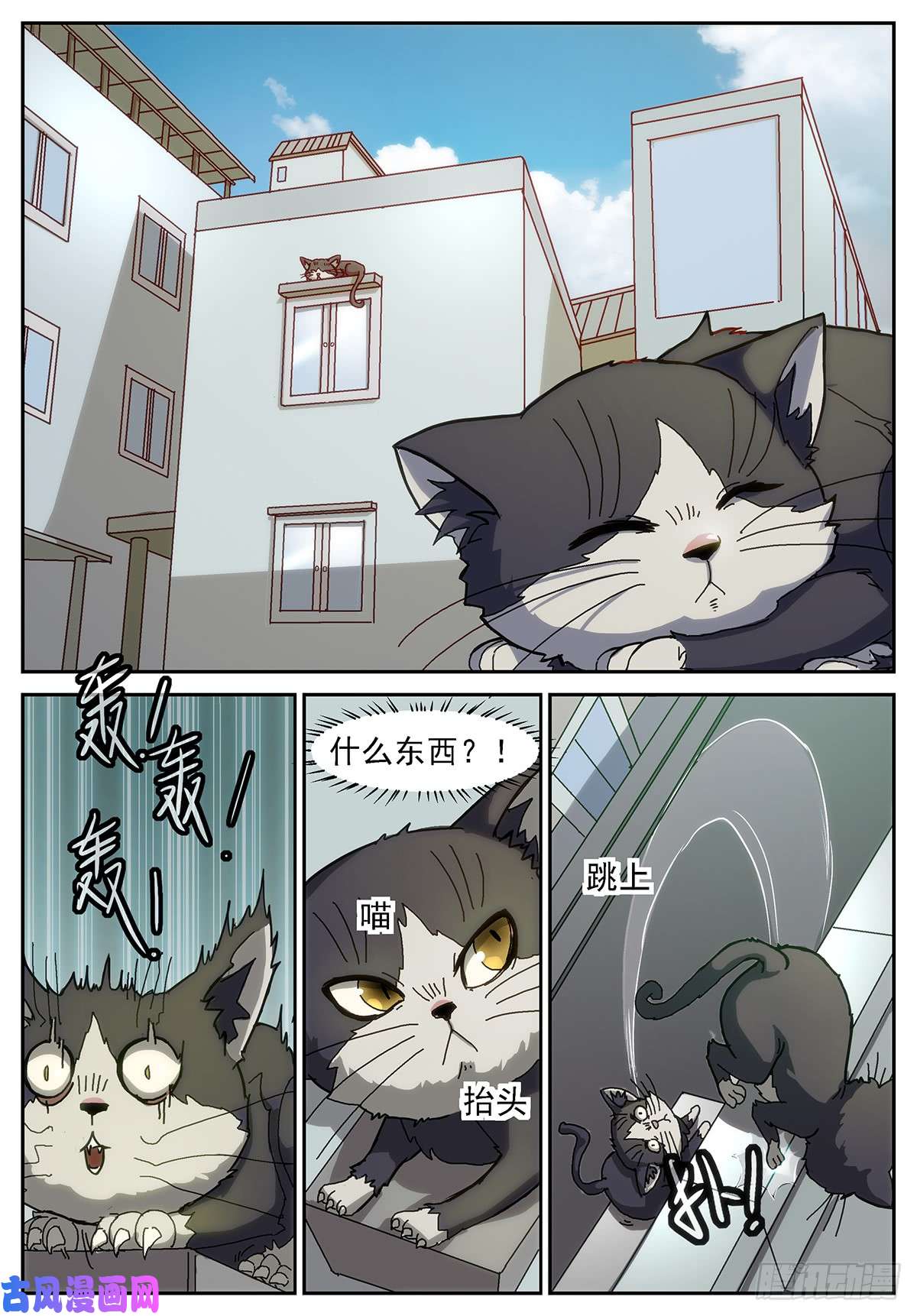 神俑降临谁在高空坠物？！