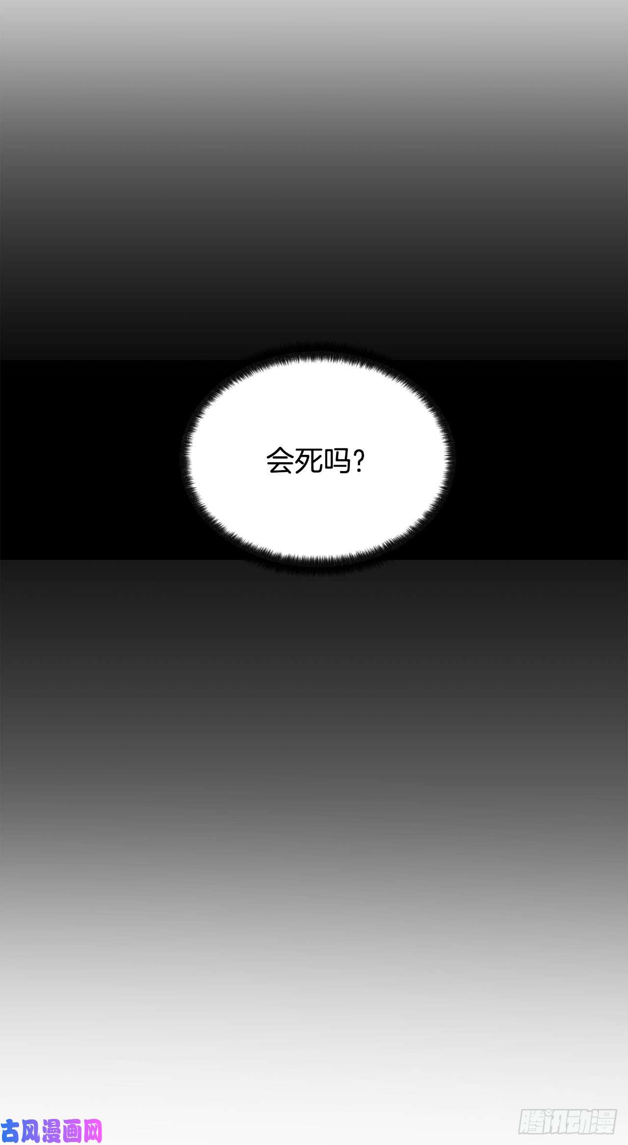 异族侍女逆袭记6.入宫