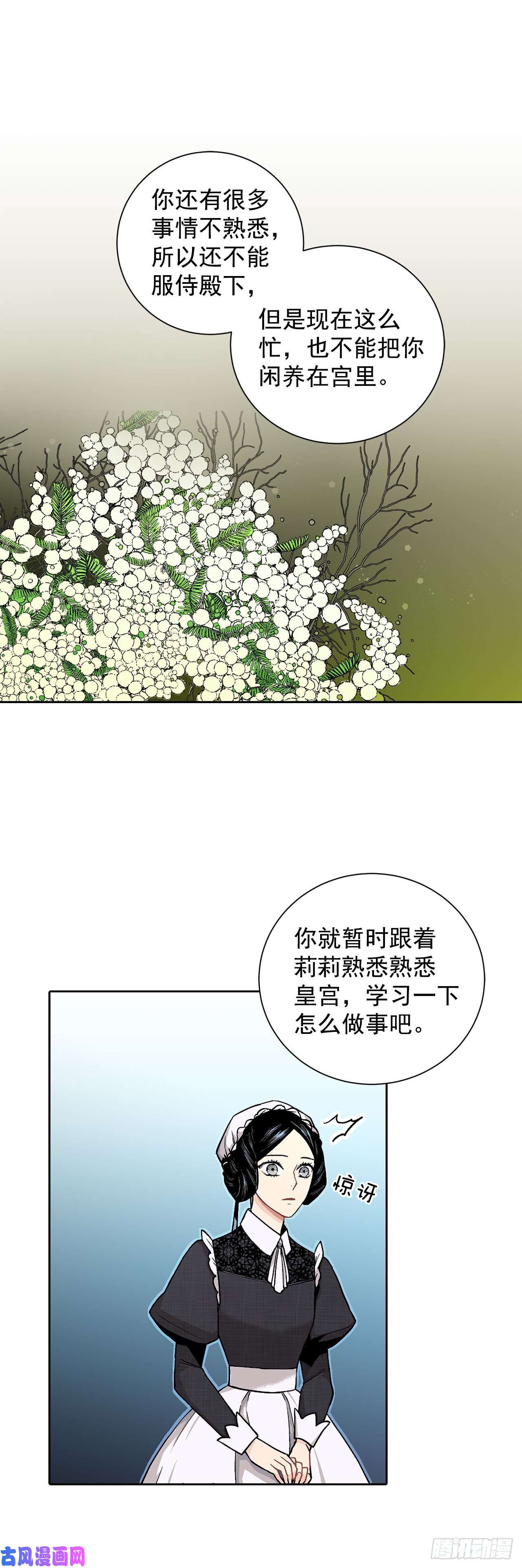 异族侍女逆袭记7.侍女变婢女？