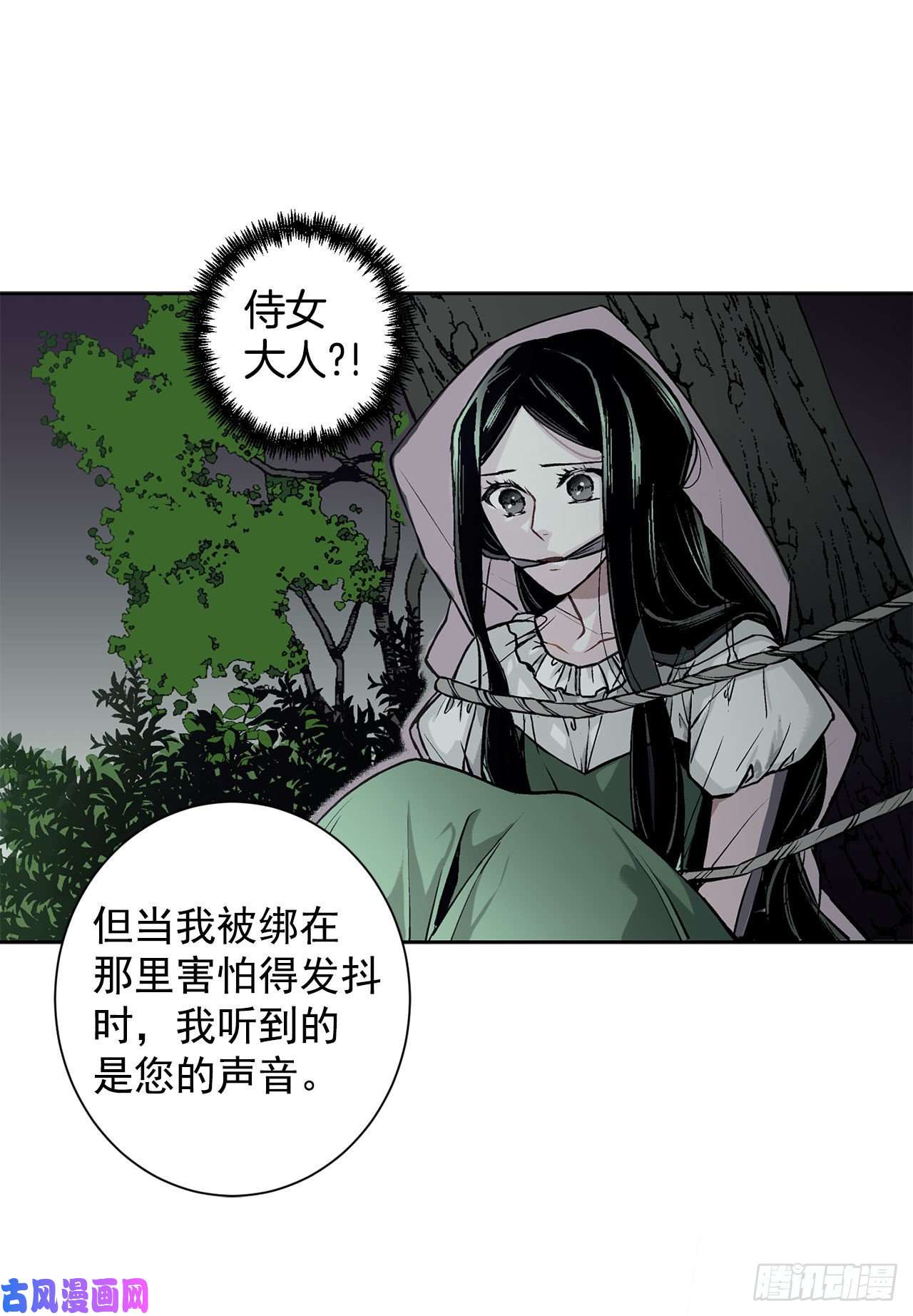 异族侍女逆袭记11.这个人是特别的吗？