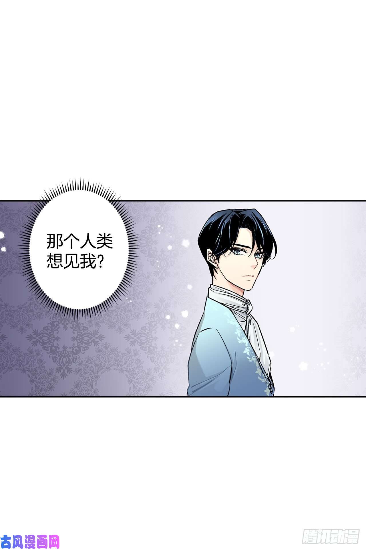 异族侍女逆袭记12.初见
