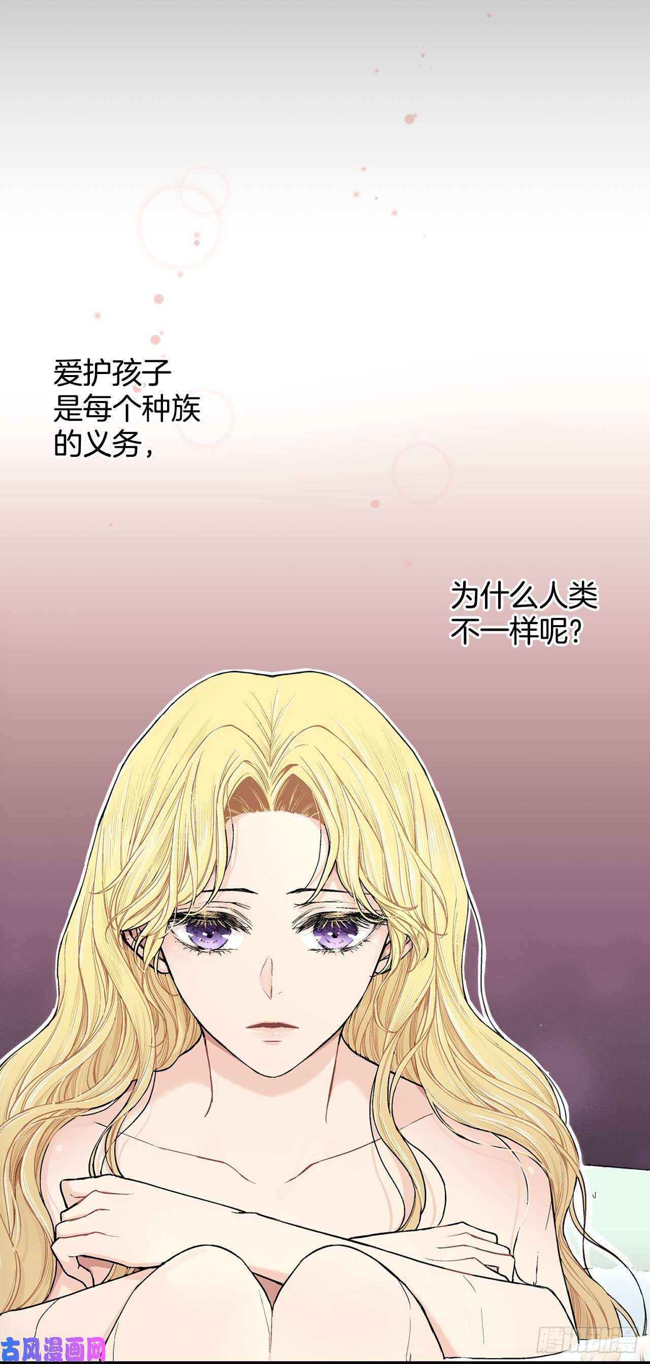 异族侍女逆袭记14.母妃