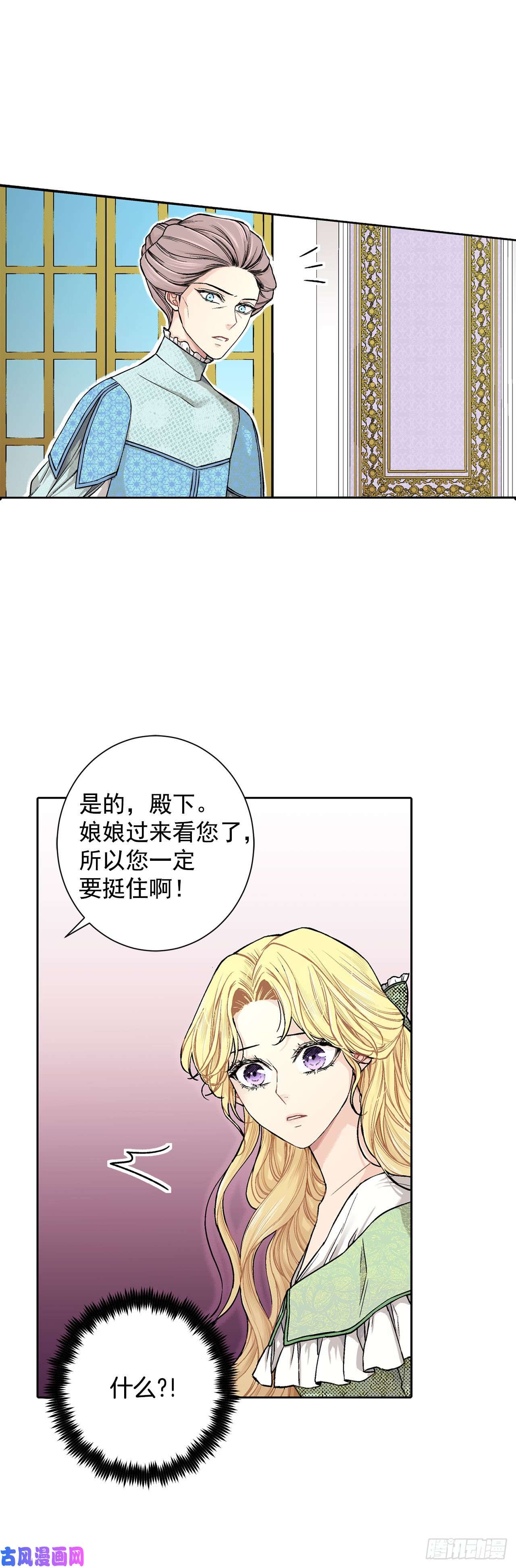 异族侍女逆袭记14.母妃