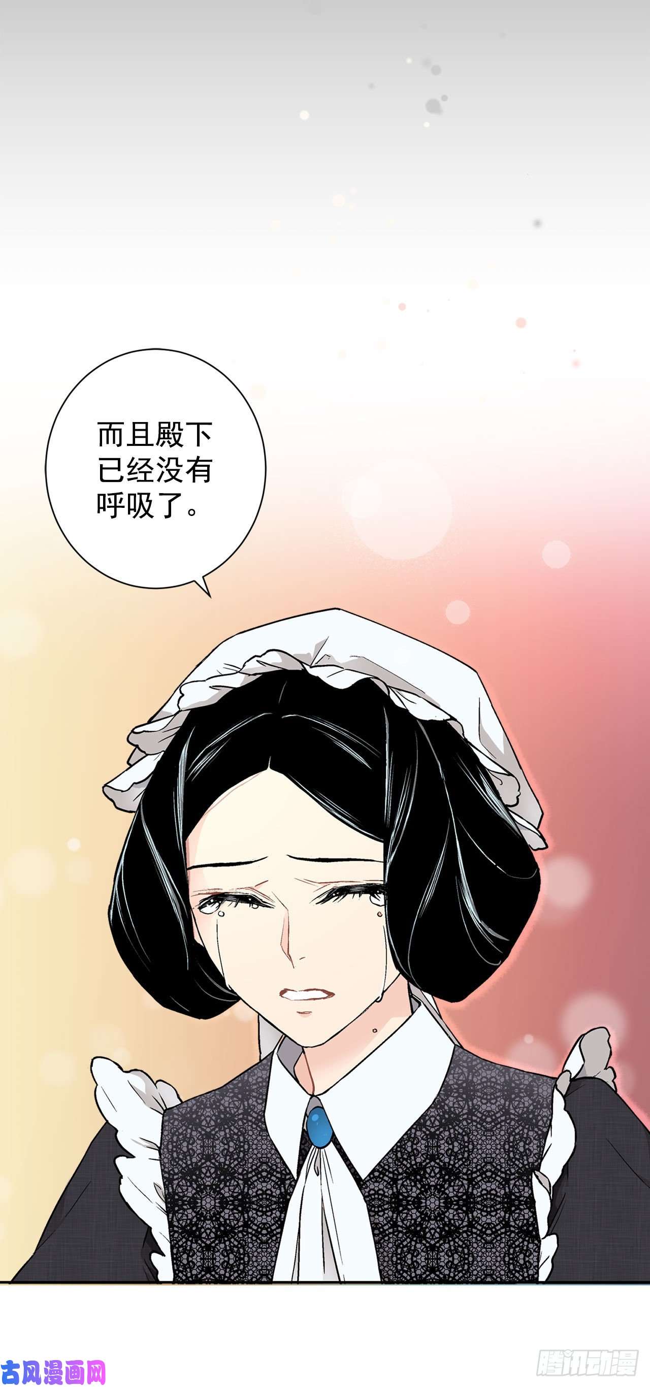 异族侍女逆袭记17.暗杀