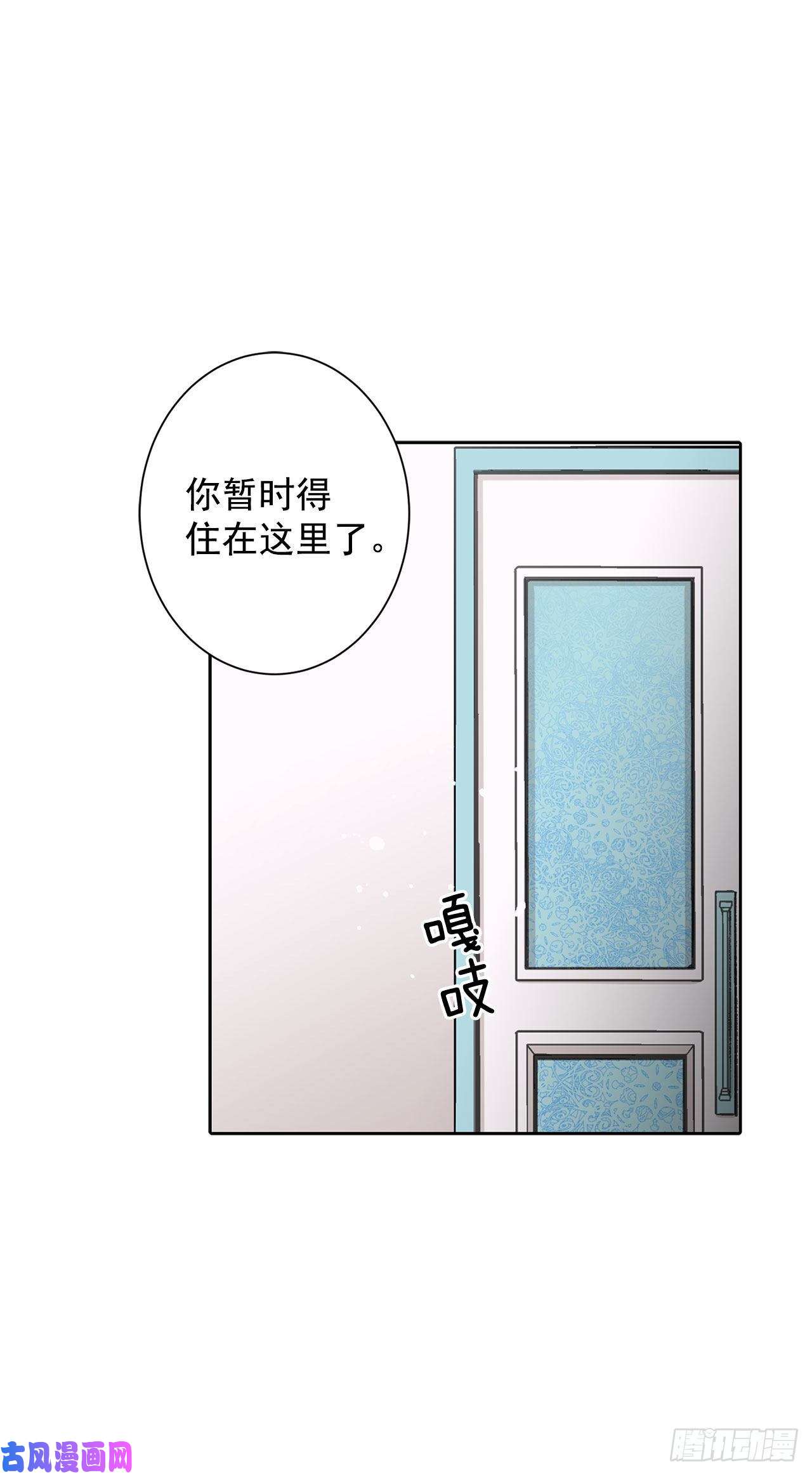 异族侍女逆袭记17.暗杀