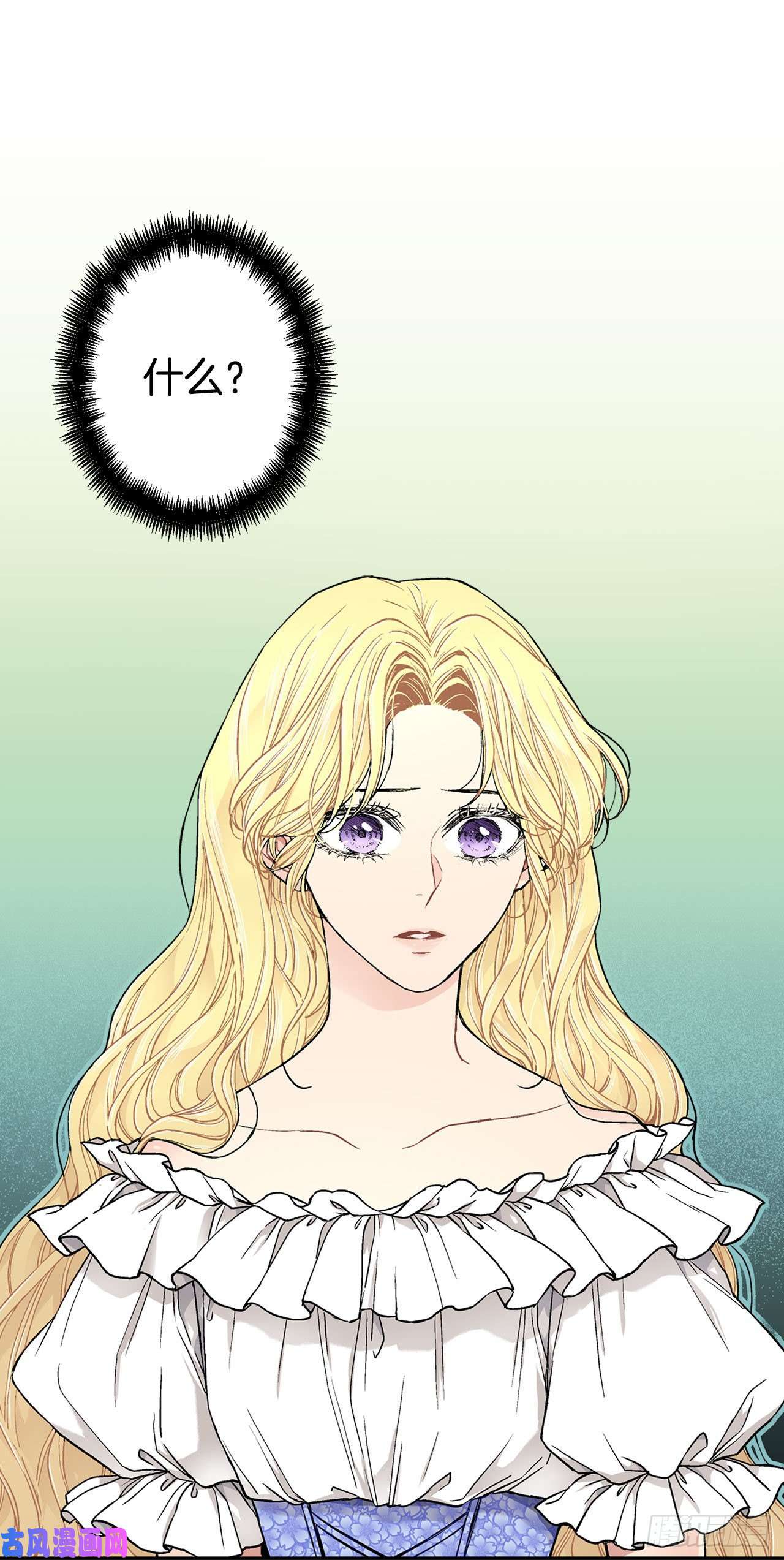 异族侍女逆袭记17.暗杀